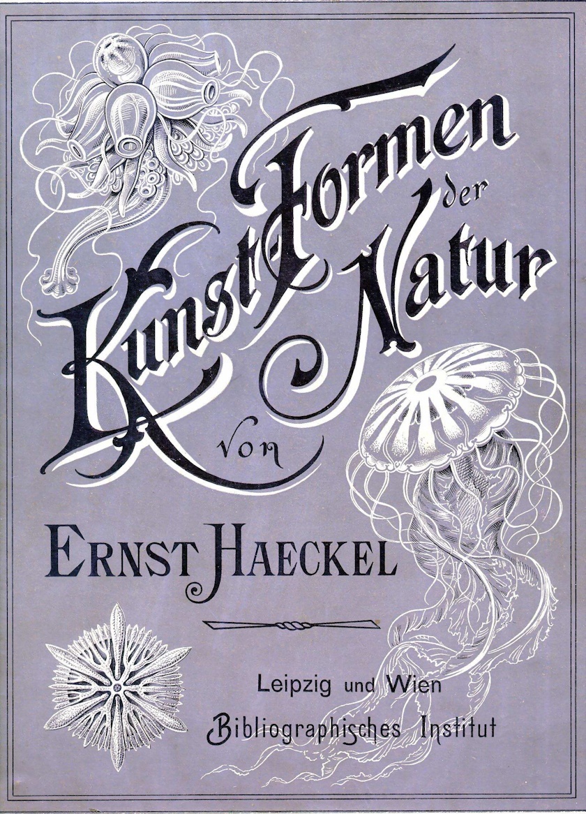 morze rysuje najdziwniejsze kształty. Ernst Haeckel, praca 2.