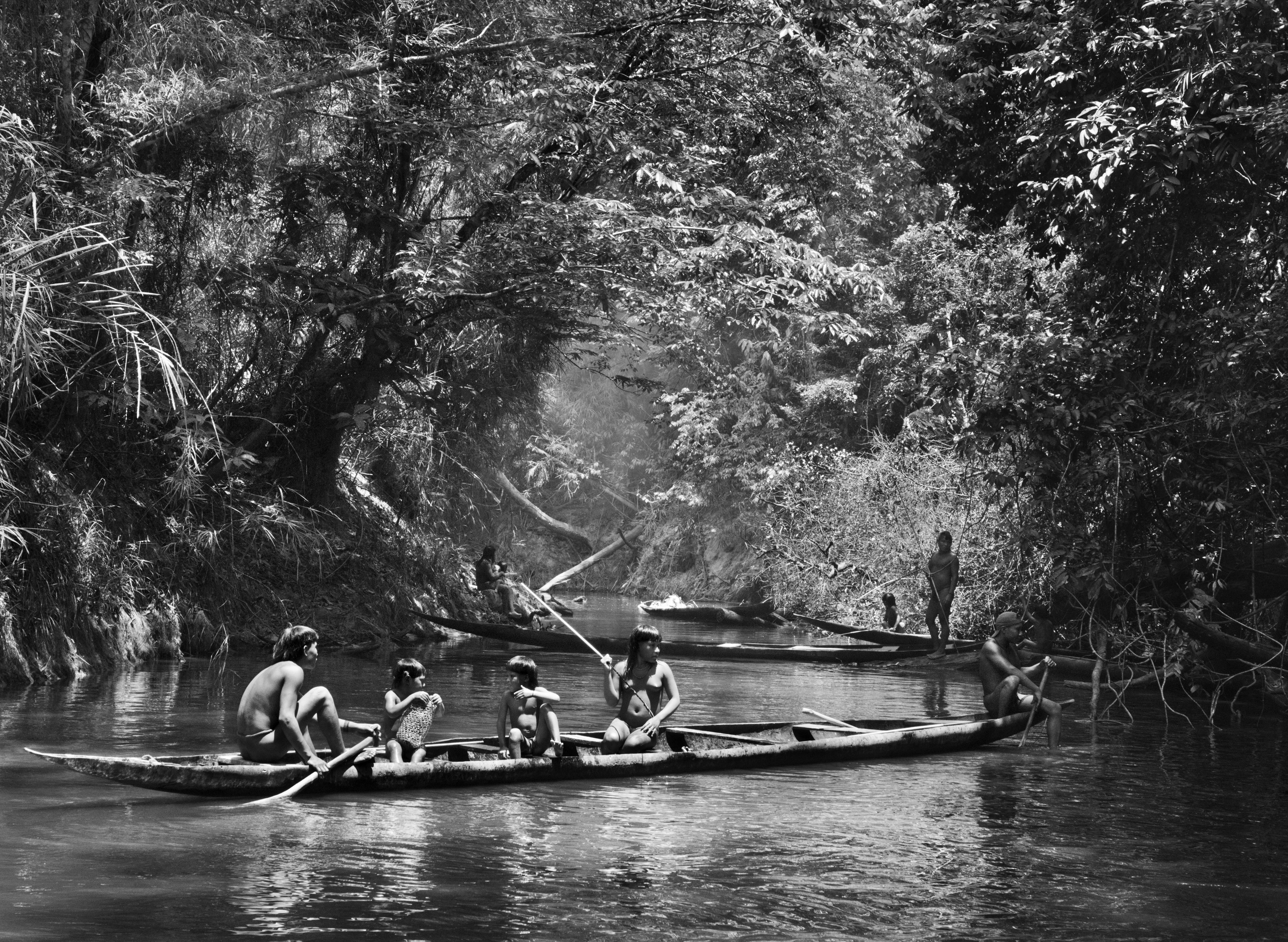 rzeka wciąż pamięta las. Sebastião Salgado, praca 6.