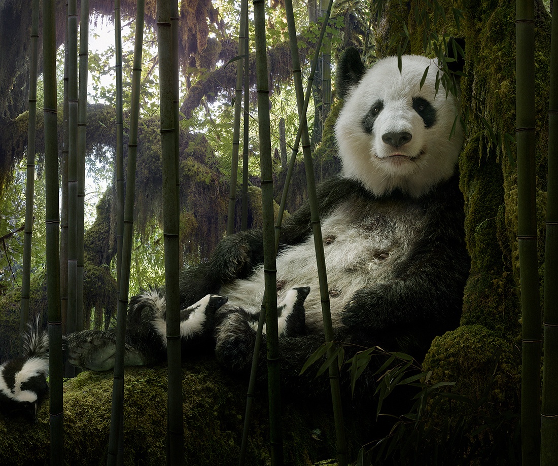 zwierzęta czekają na koniec bajki. Simen Johan, praca 9.