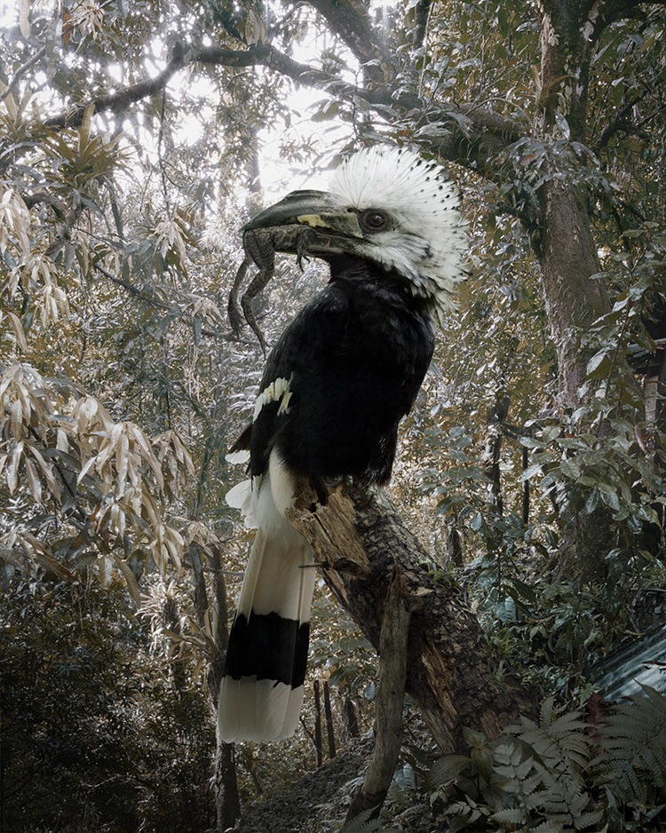 zwierzęta czekają na koniec bajki. Simen Johan, praca 7.