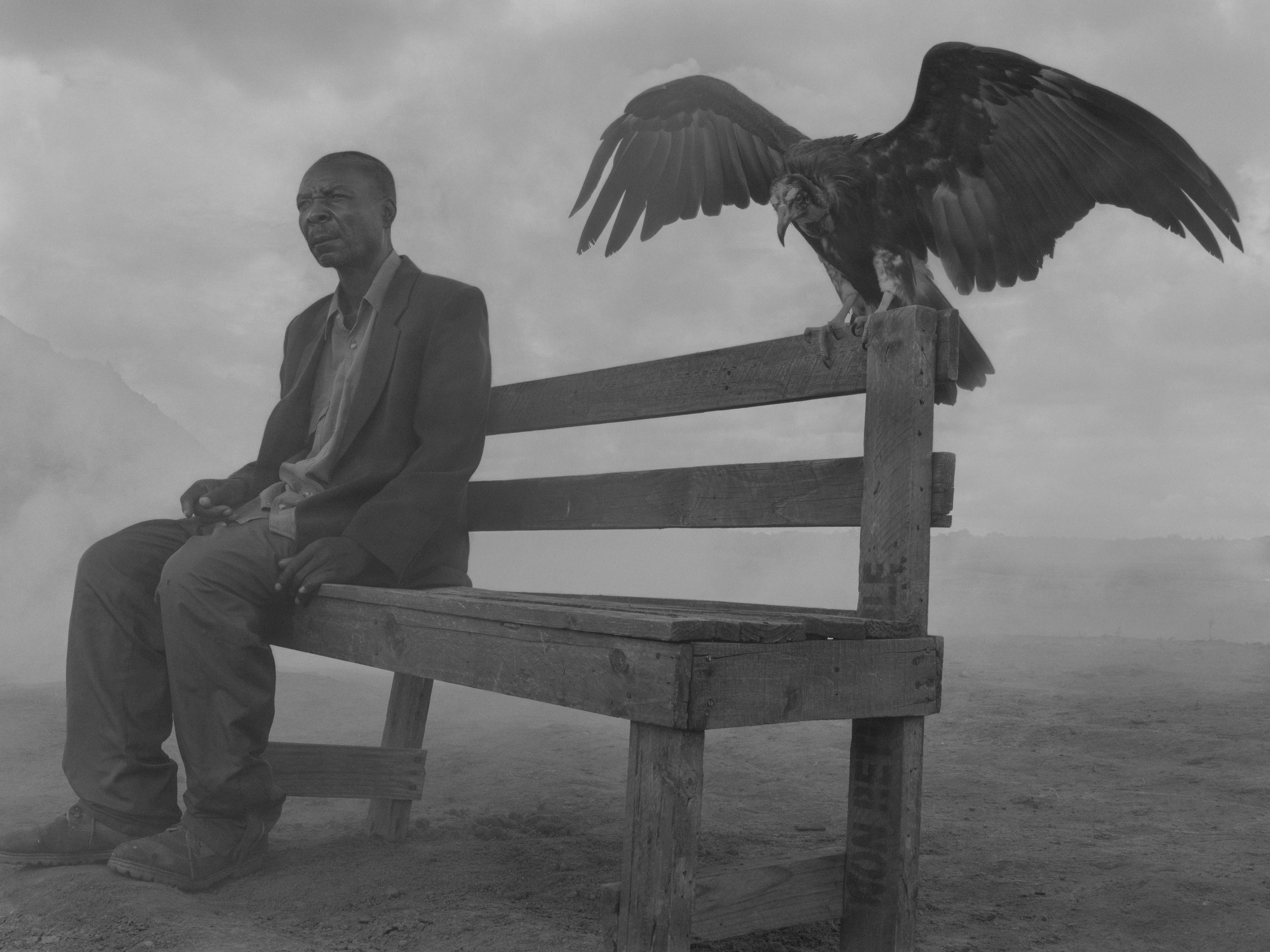 siedzimy razem przed końcem dnia. Nick Brandt, praca 8.