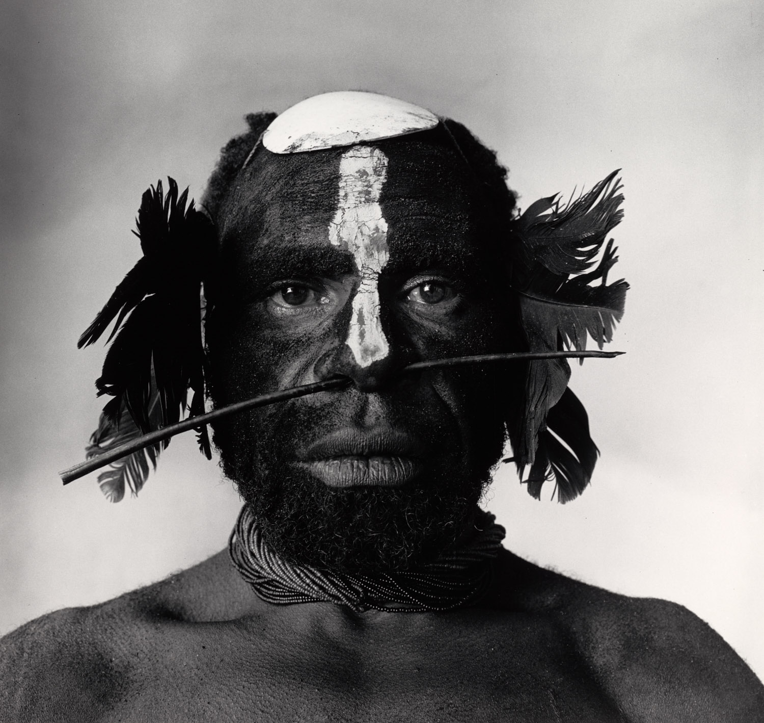 cały świat w małym pokoju. Irving Penn, praca 1.