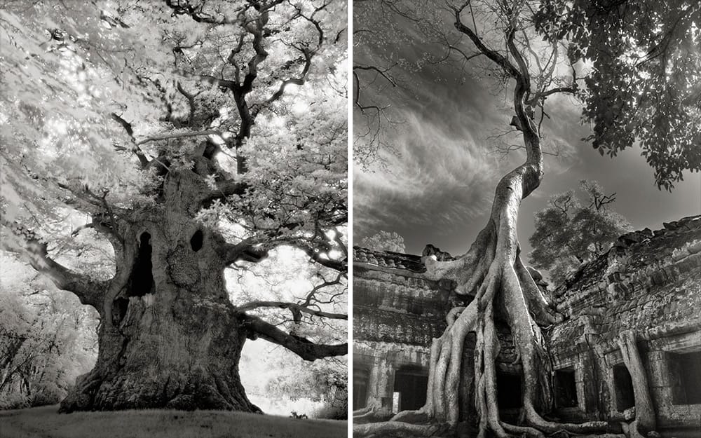 tyle lat w jednym miejscu. Beth Moon, praca 5.