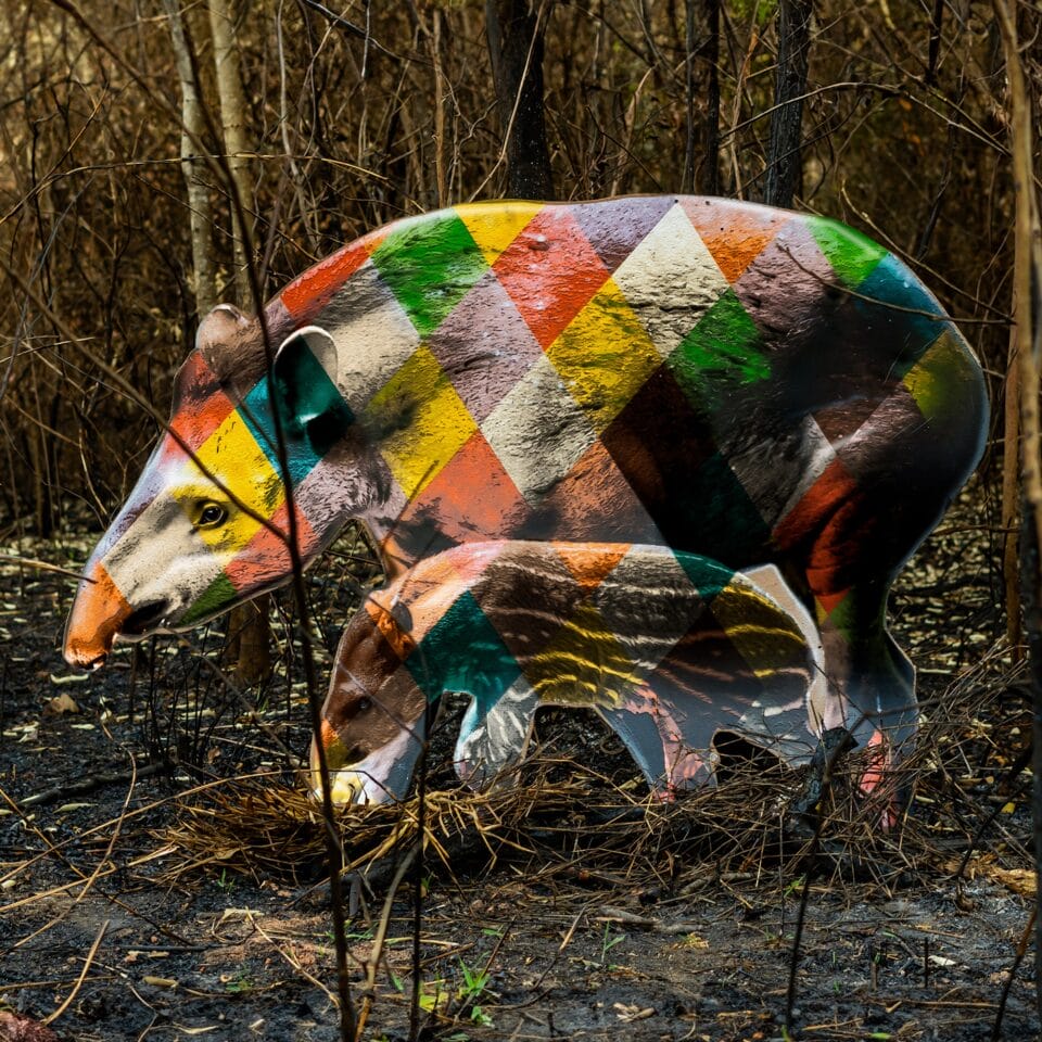 ogień zostawia po sobie obraz. Eduardo Kobra, praca 3.
