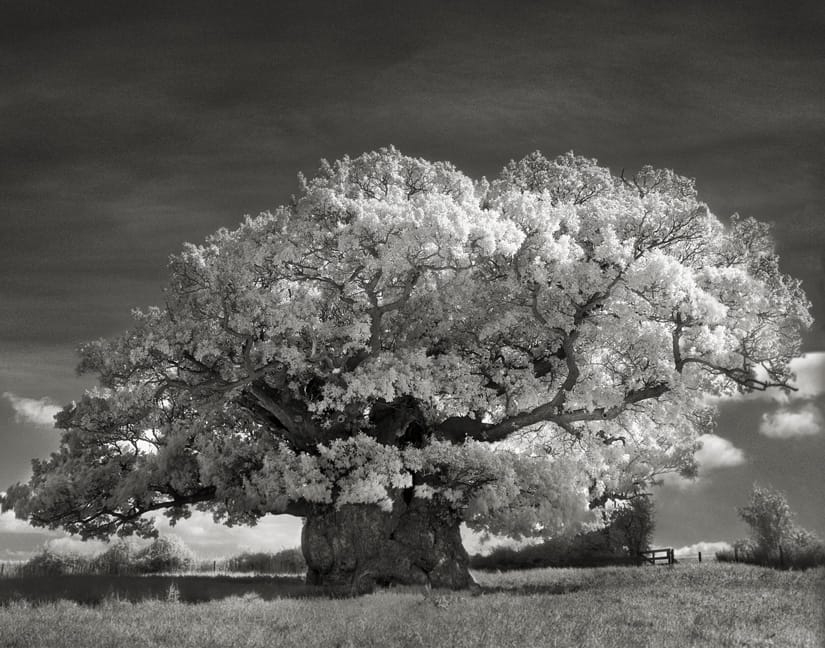 tyle lat w jednym miejscu. Beth Moon, praca 2.