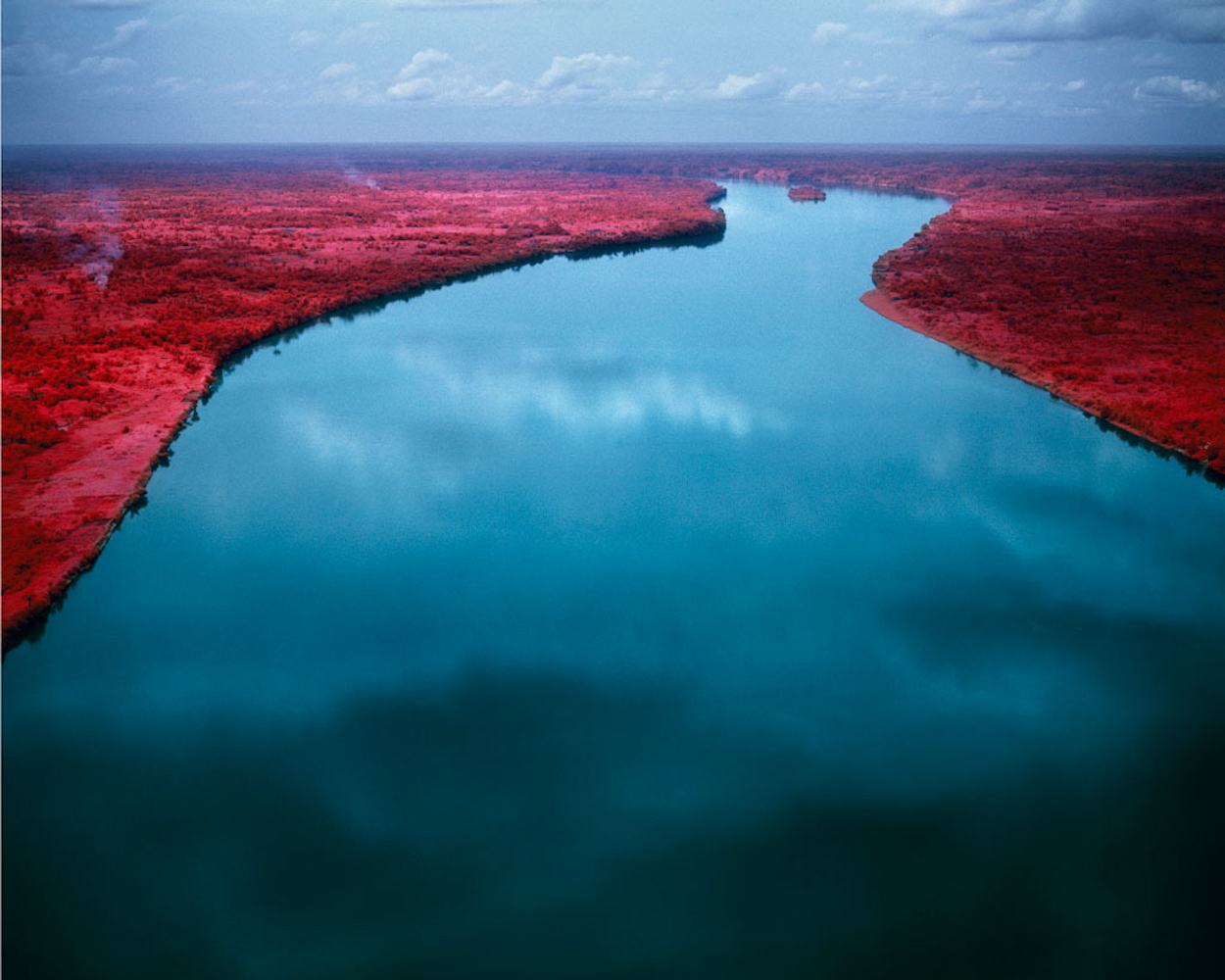 różowy kolor nie uspokaja. Richard Mosse, praca 7.