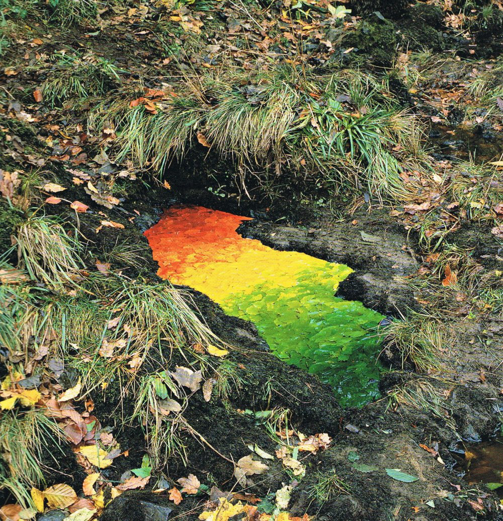 zanim zabierze to wiatr. Andy Goldsworthy, praca 7.