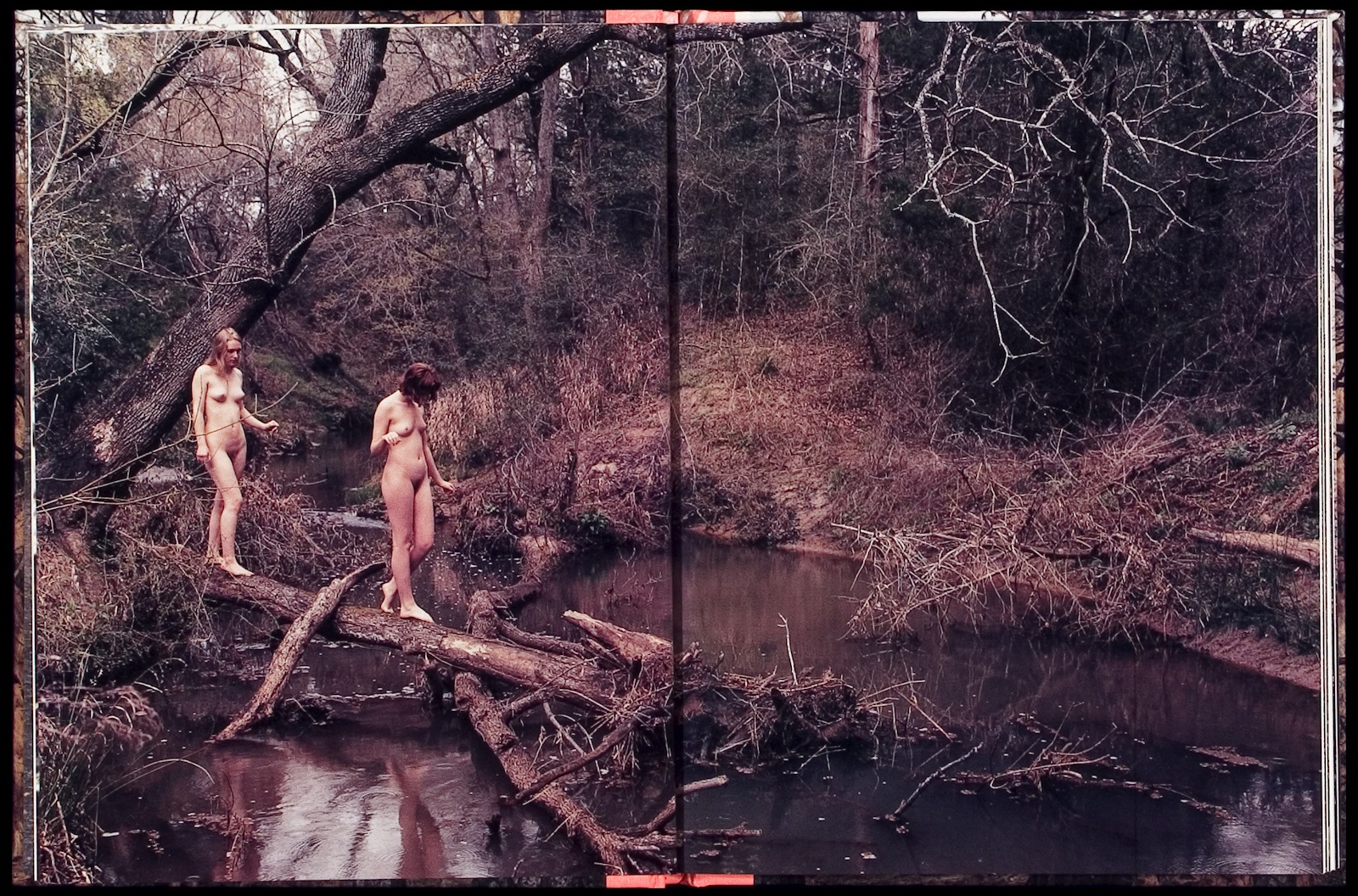 uciekłyśmy tam, gdzie jest lepiej. Justine Kurland, praca 10.
