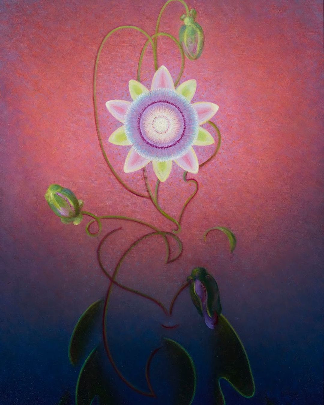 światło ma swoje życie. Agnes Pelton, praca 5.