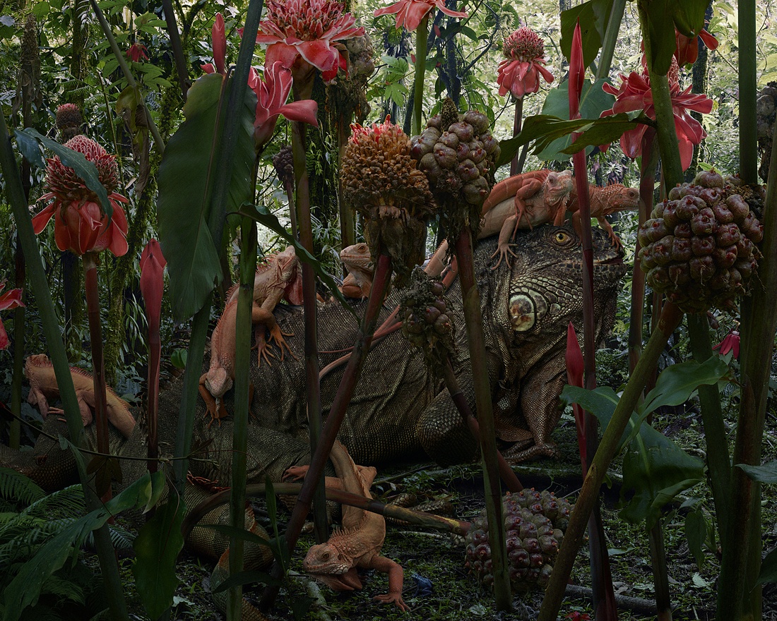 zwierzęta czekają na koniec bajki. Simen Johan, praca 4.