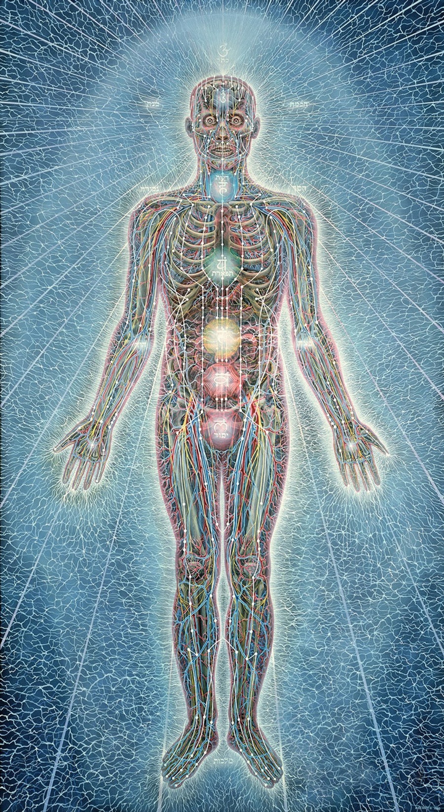 widzę światło przez twoją skórę. Alex Grey, praca 1.
