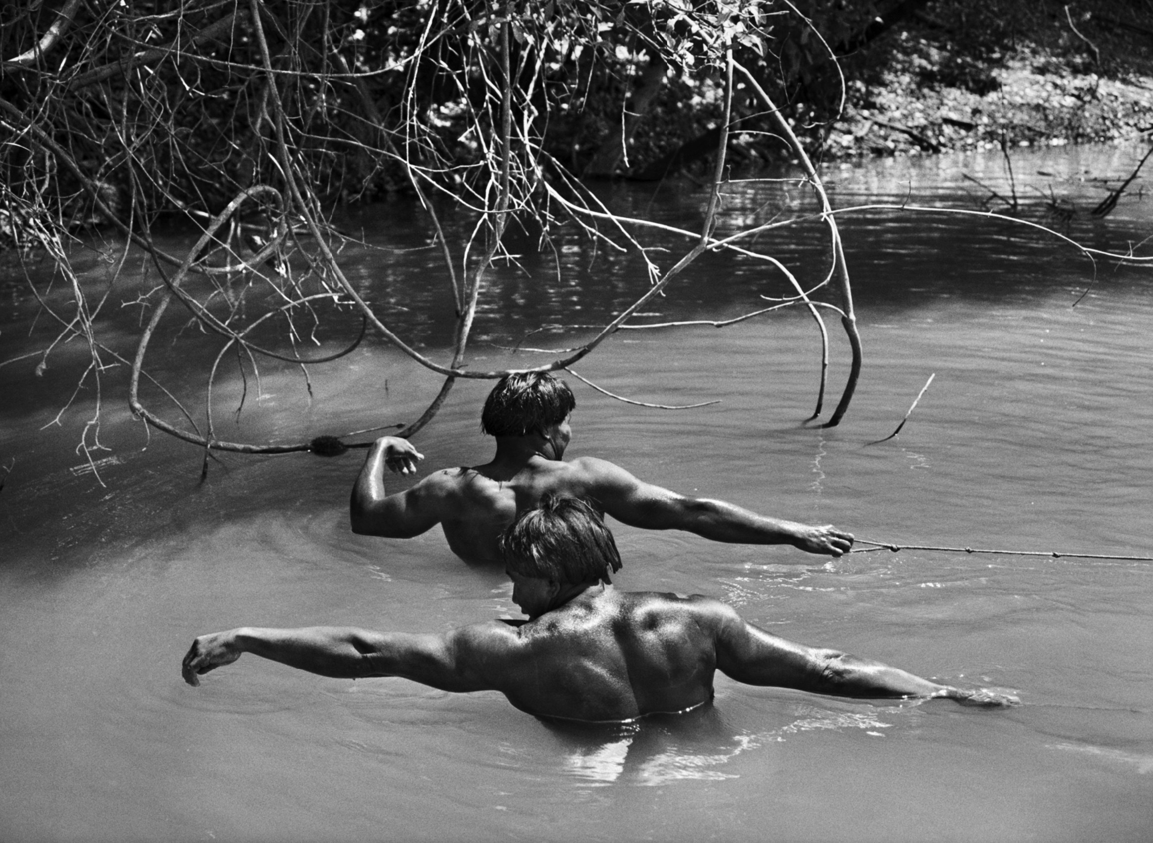 rzeka wciąż pamięta las. Sebastião Salgado, praca 10.