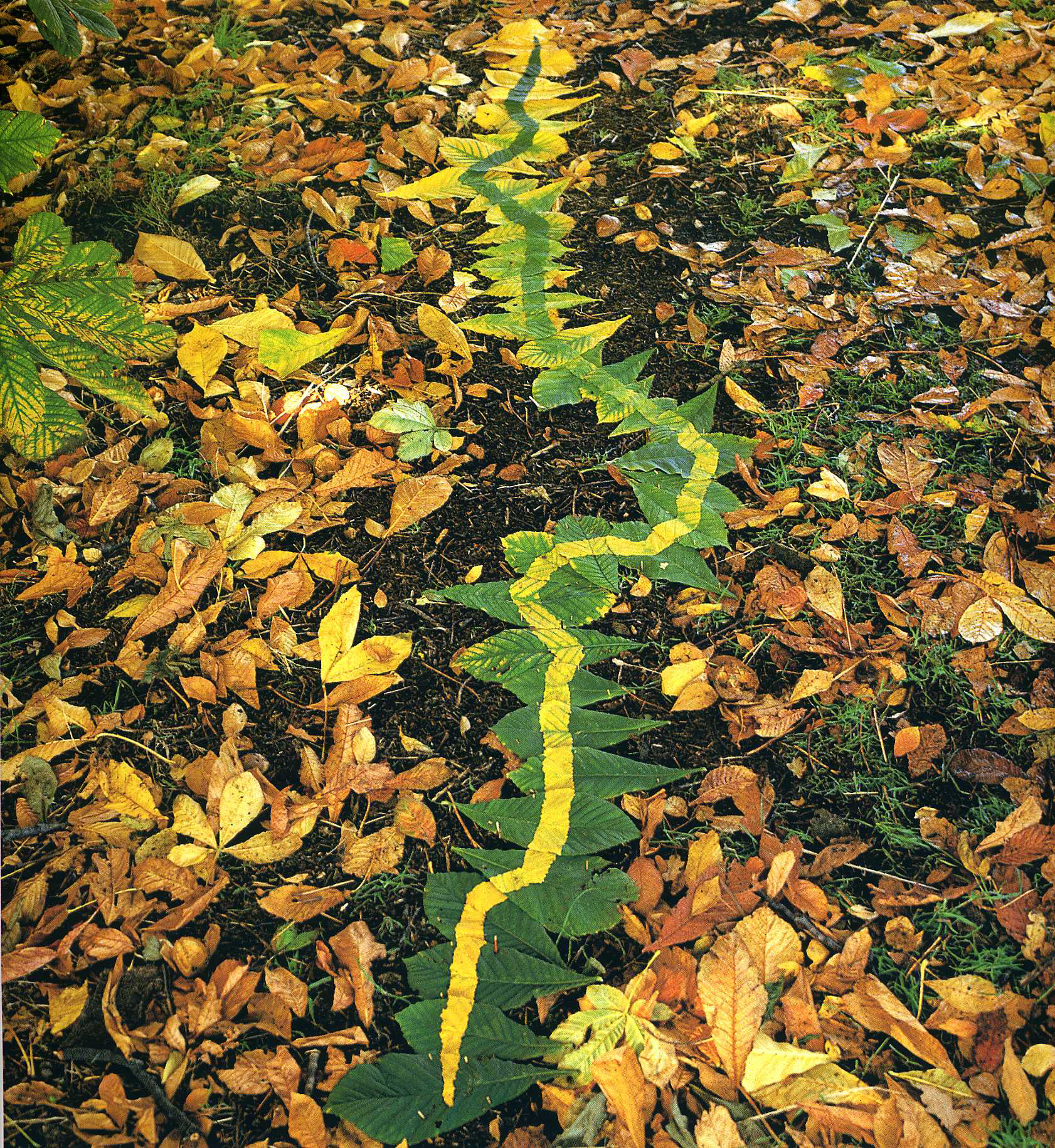 zanim zabierze to wiatr. Andy Goldsworthy, praca 8.