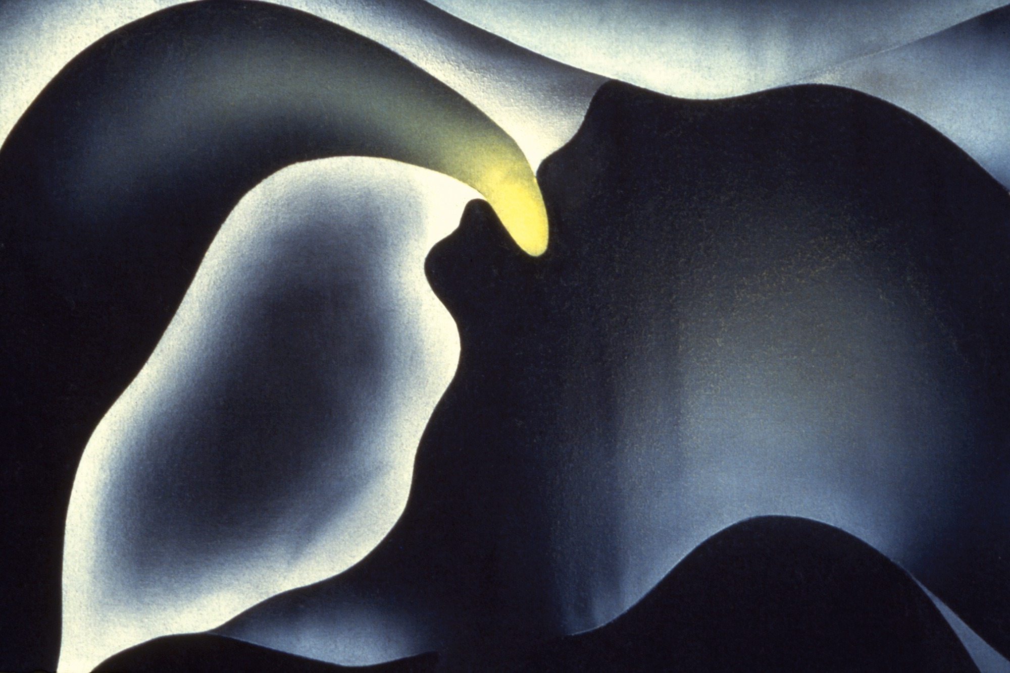 tak przychodzimy na świat. Judy Chicago, praca 7.