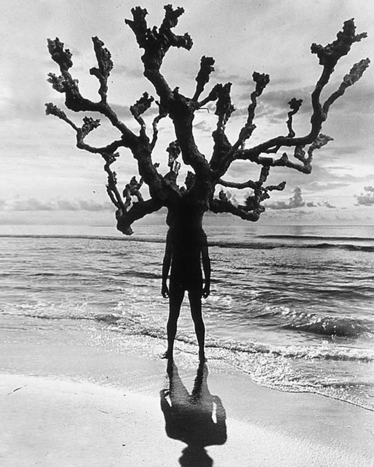w ciemni połączyły się dwa światy. Jerry Uelsmann, praca 4.