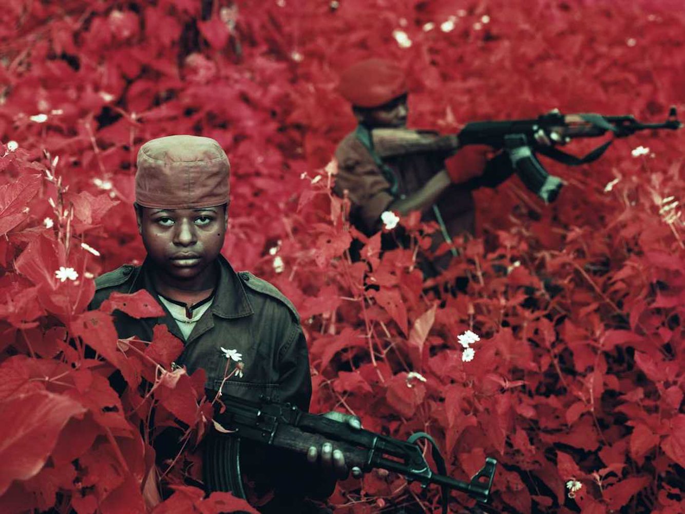 różowy kolor nie uspokaja. Richard Mosse, praca 8.