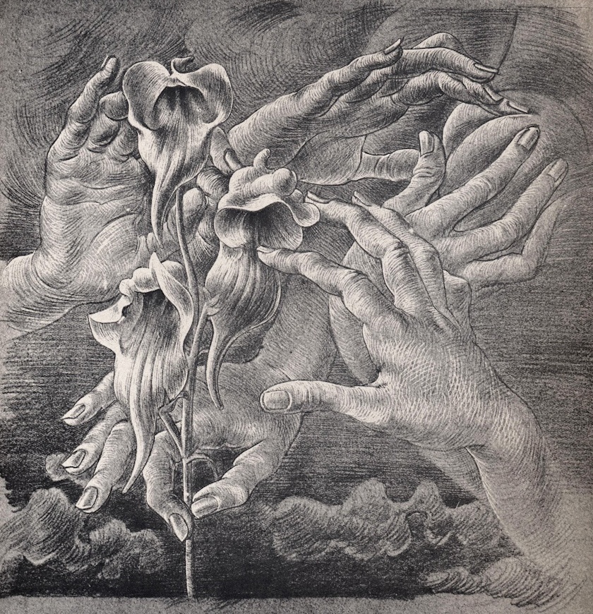 lalka nie chce leżeć spokojnie. Hans Bellmer, praca 10.