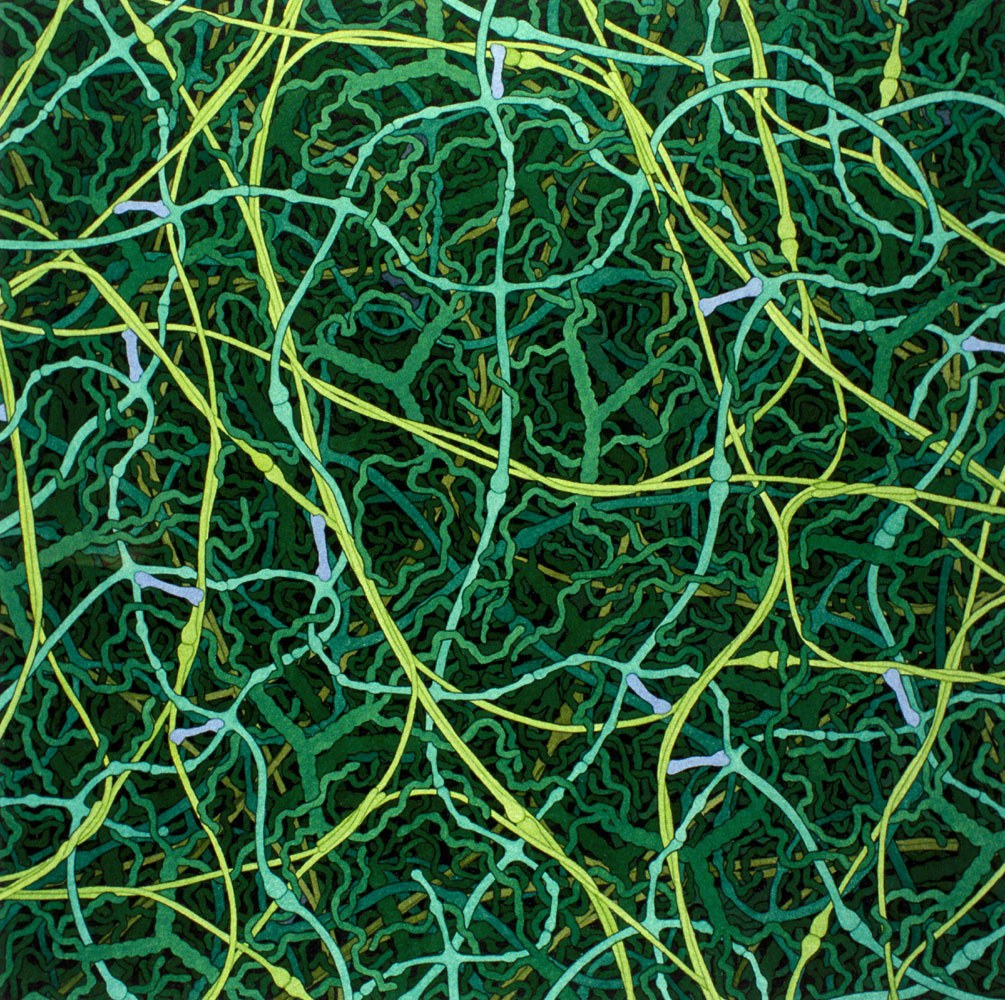 w każdej chwili dzieje się we mnie tyle. David S. Goodsell, praca 8.