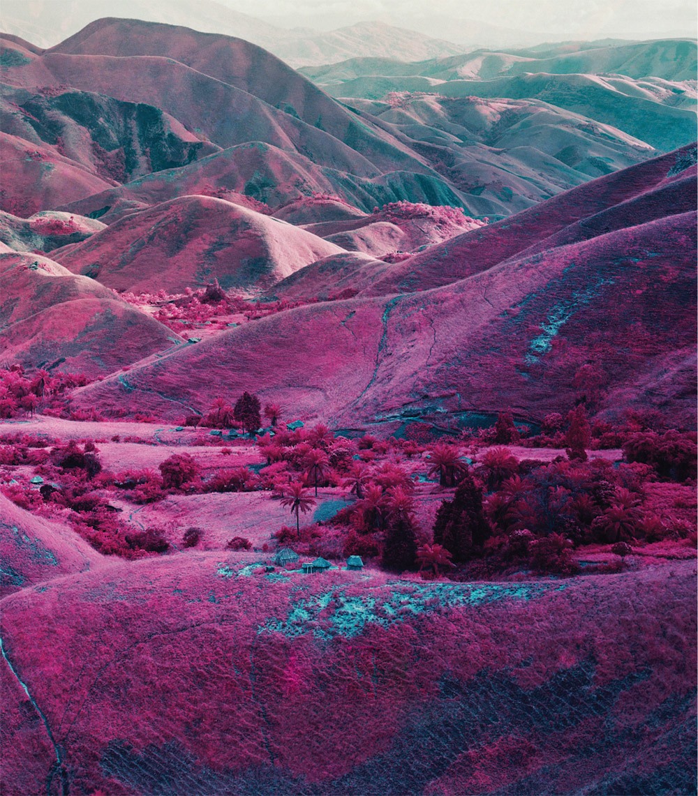 różowy kolor nie uspokaja. Richard Mosse, praca 1.