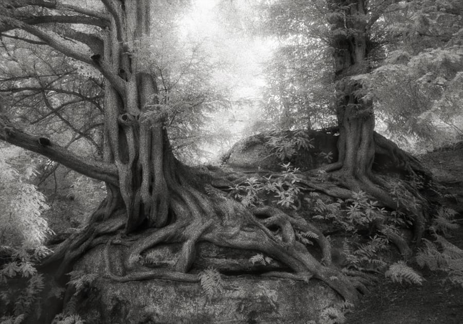 tyle lat w jednym miejscu. Beth Moon, praca 7.