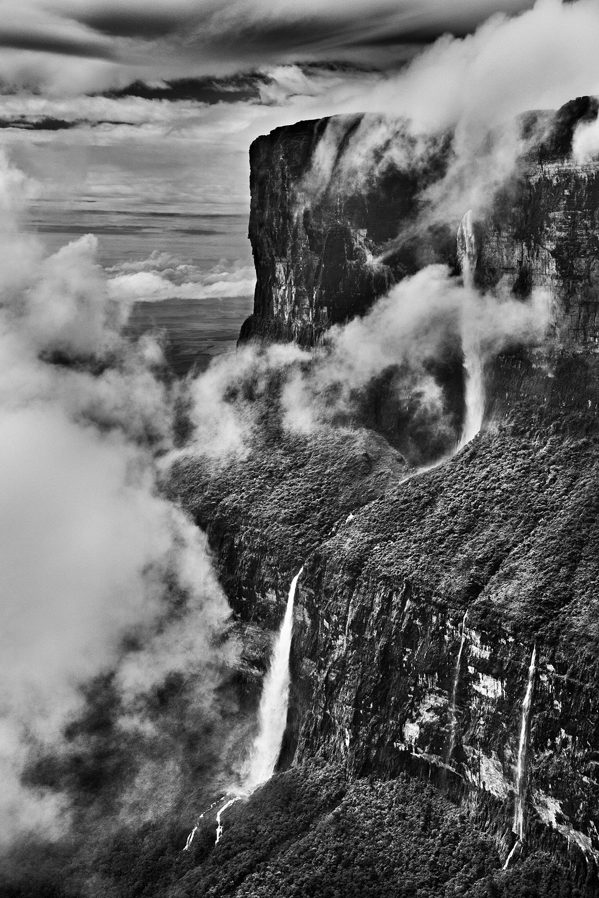 rzeka wciąż pamięta las. Sebastião Salgado, praca 8.