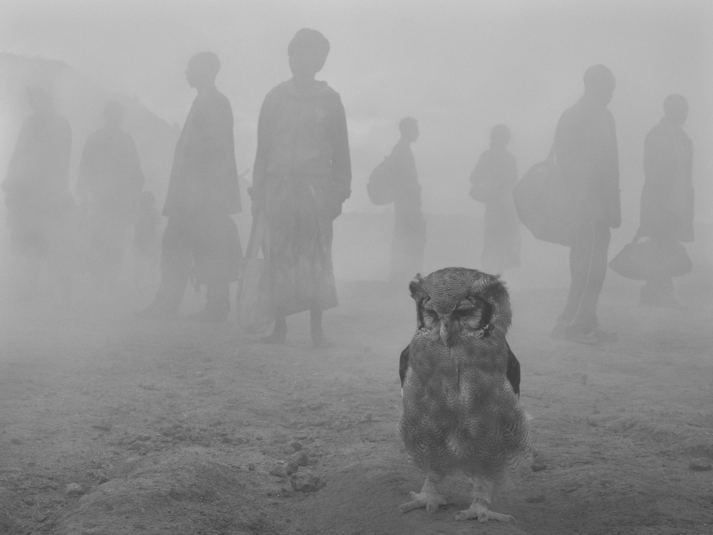 siedzimy razem przed końcem dnia. Nick Brandt, praca 2.