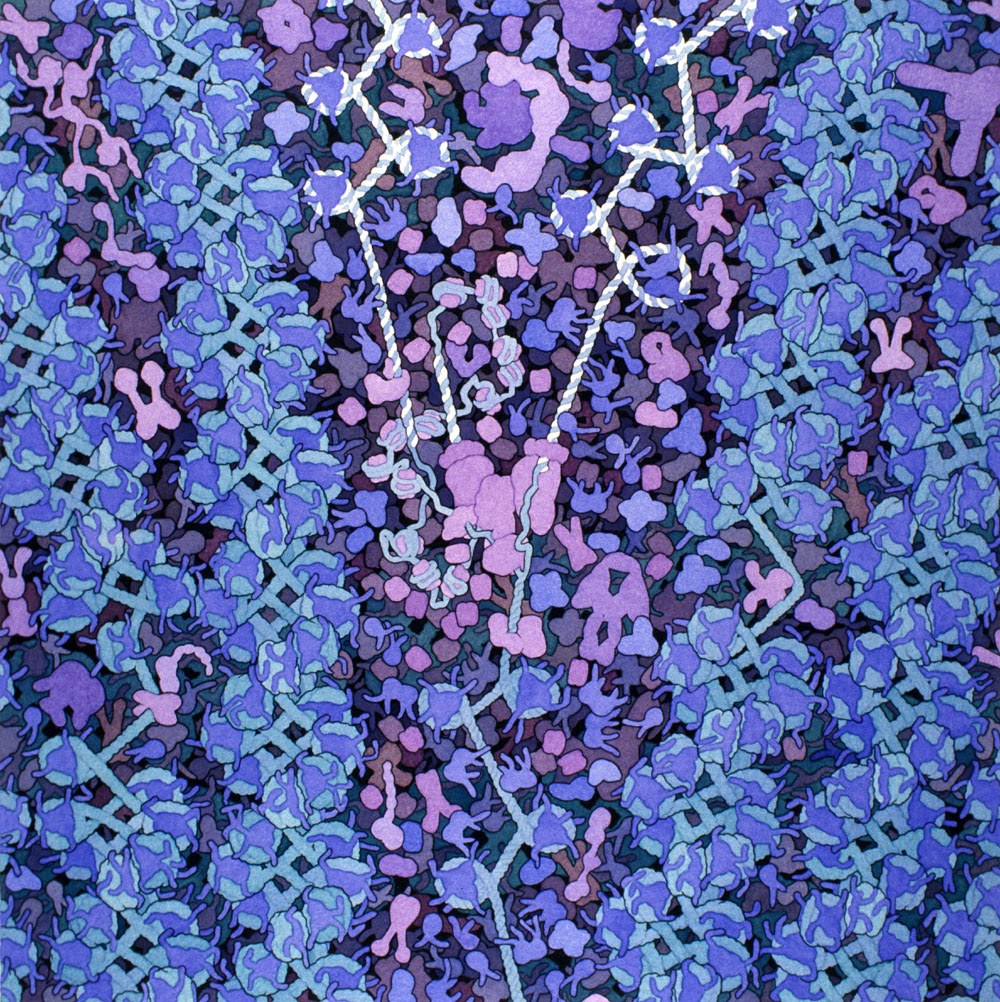w każdej chwili dzieje się we mnie tyle. David S. Goodsell, praca 10.