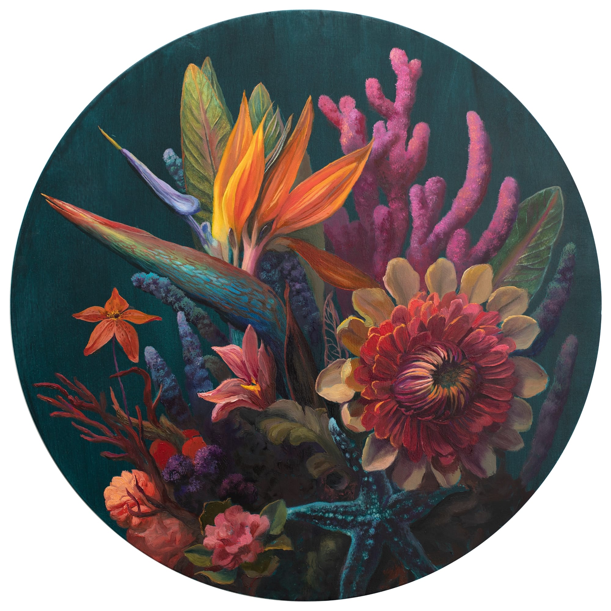 meduzy przyleciały do paproci. Martin Wittfooth, praca 4.