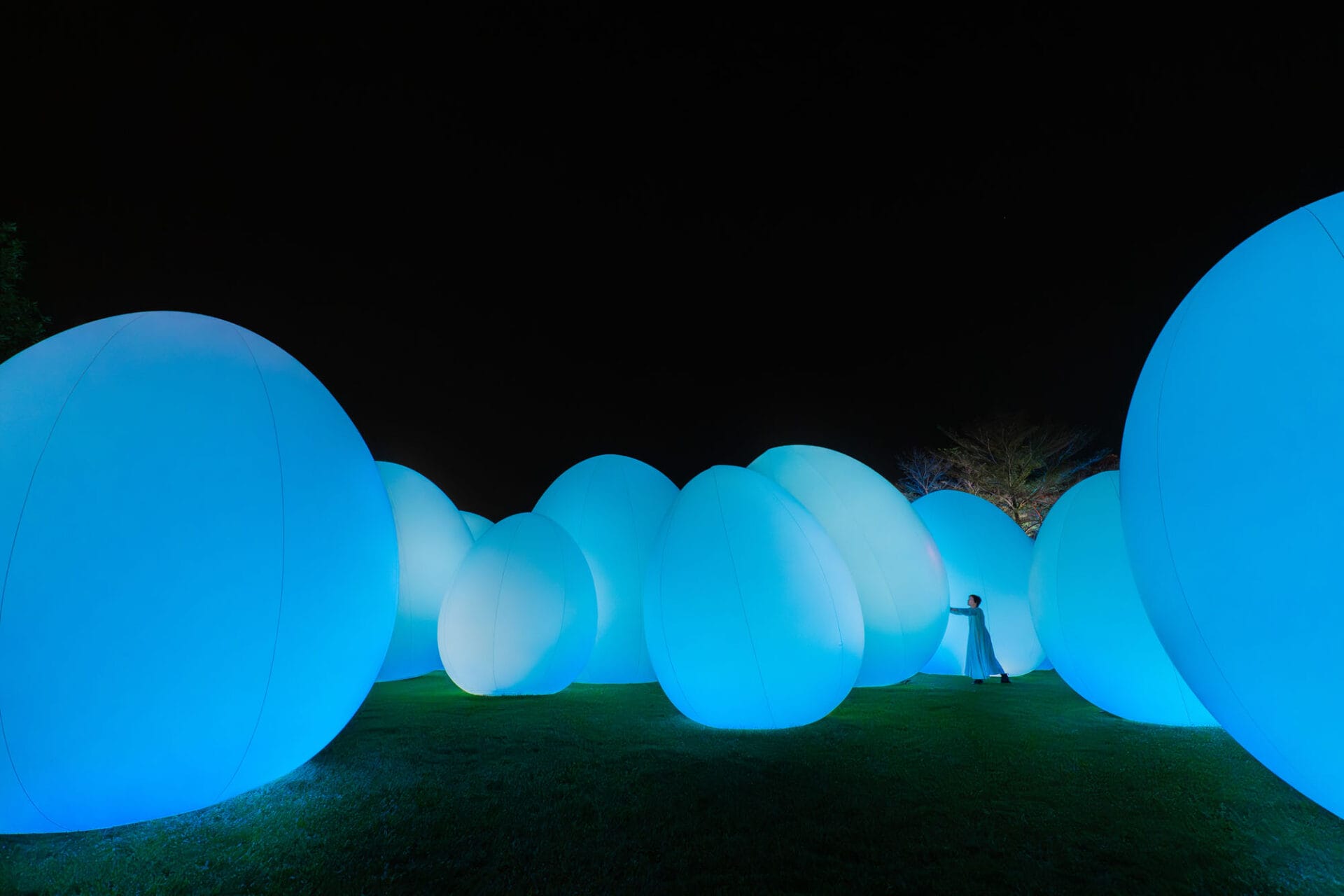 światło kołysze się między nami. teamLab, praca 5.