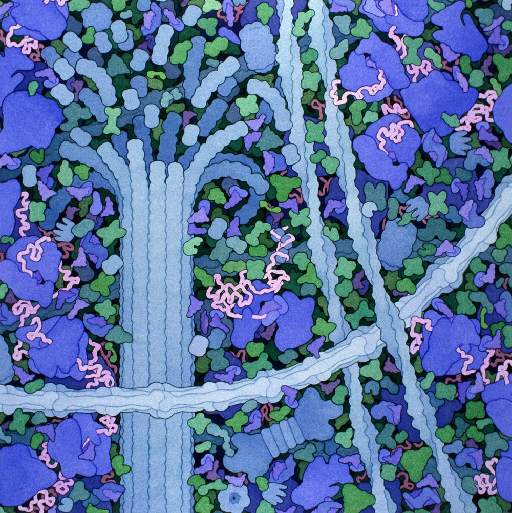 w każdej chwili dzieje się we mnie tyle. David S. Goodsell, praca 7.