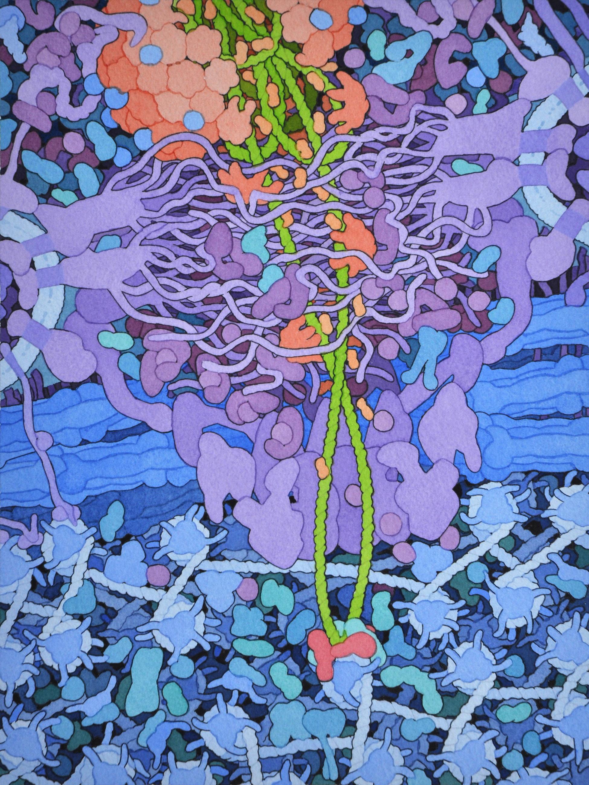 w każdej chwili dzieje się we mnie tyle. David S. Goodsell, praca 1.