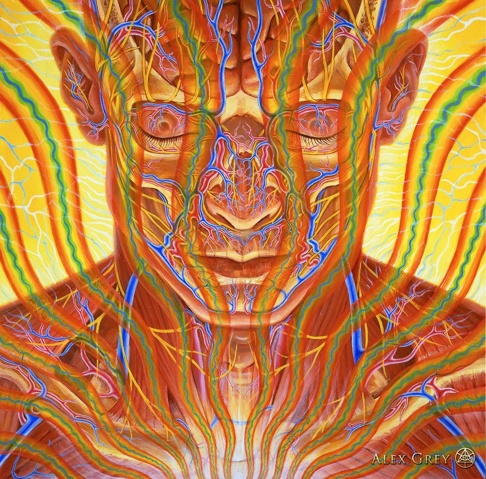 widzę światło przez twoją skórę. Alex Grey, praca 7.