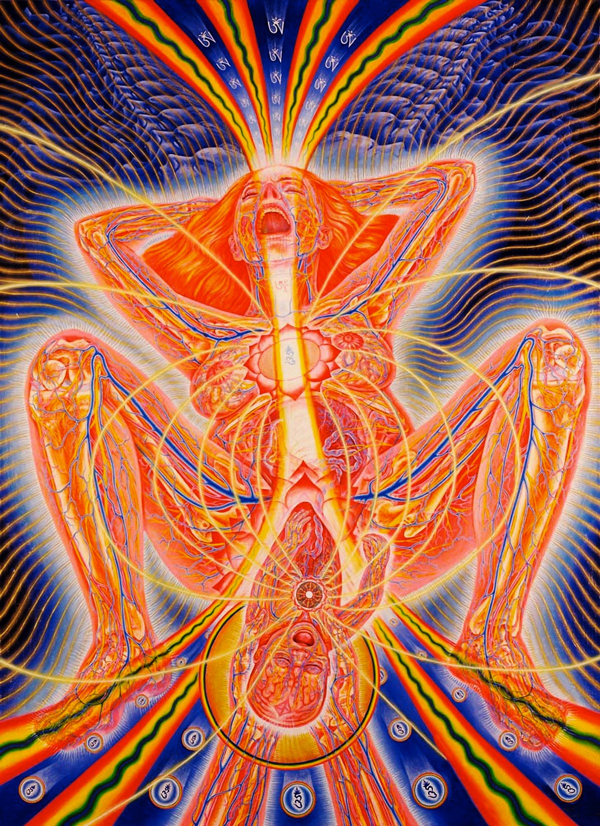 widzę światło przez twoją skórę. Alex Grey, praca 3.