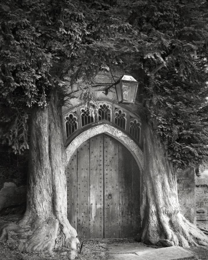 tyle lat w jednym miejscu. Beth Moon, praca 6.
