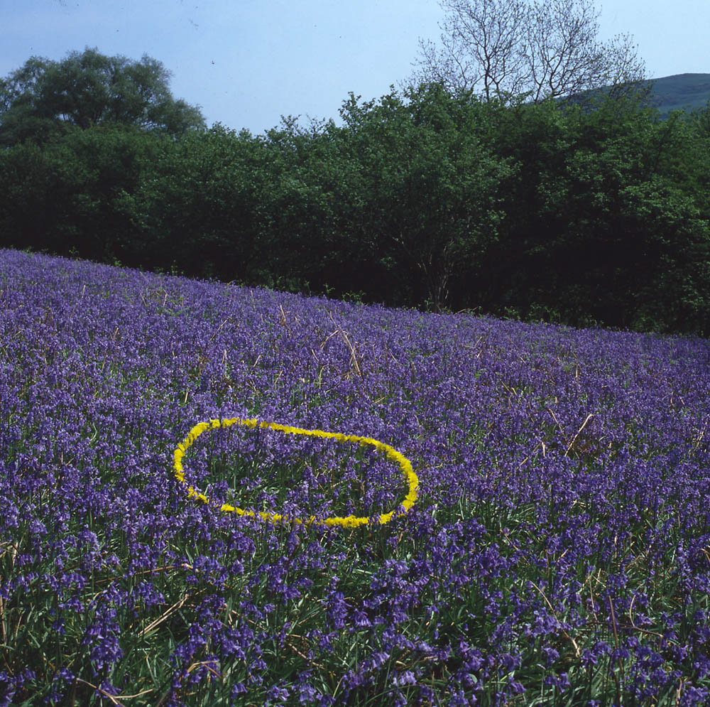 zanim zabierze to wiatr. Andy Goldsworthy, praca 10.