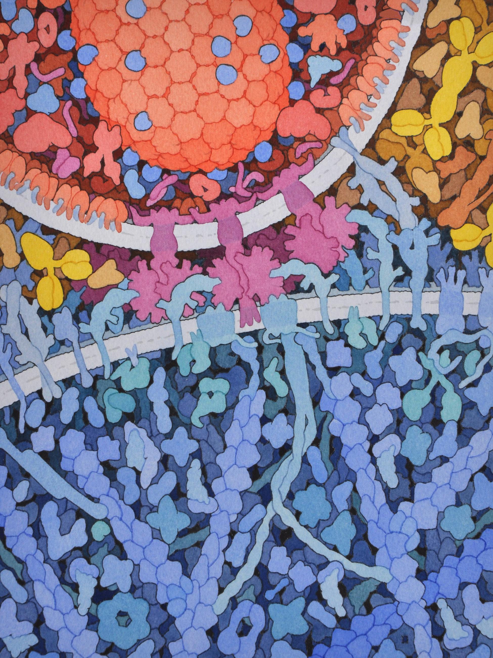 w każdej chwili dzieje się we mnie tyle. David S. Goodsell, praca 3.
