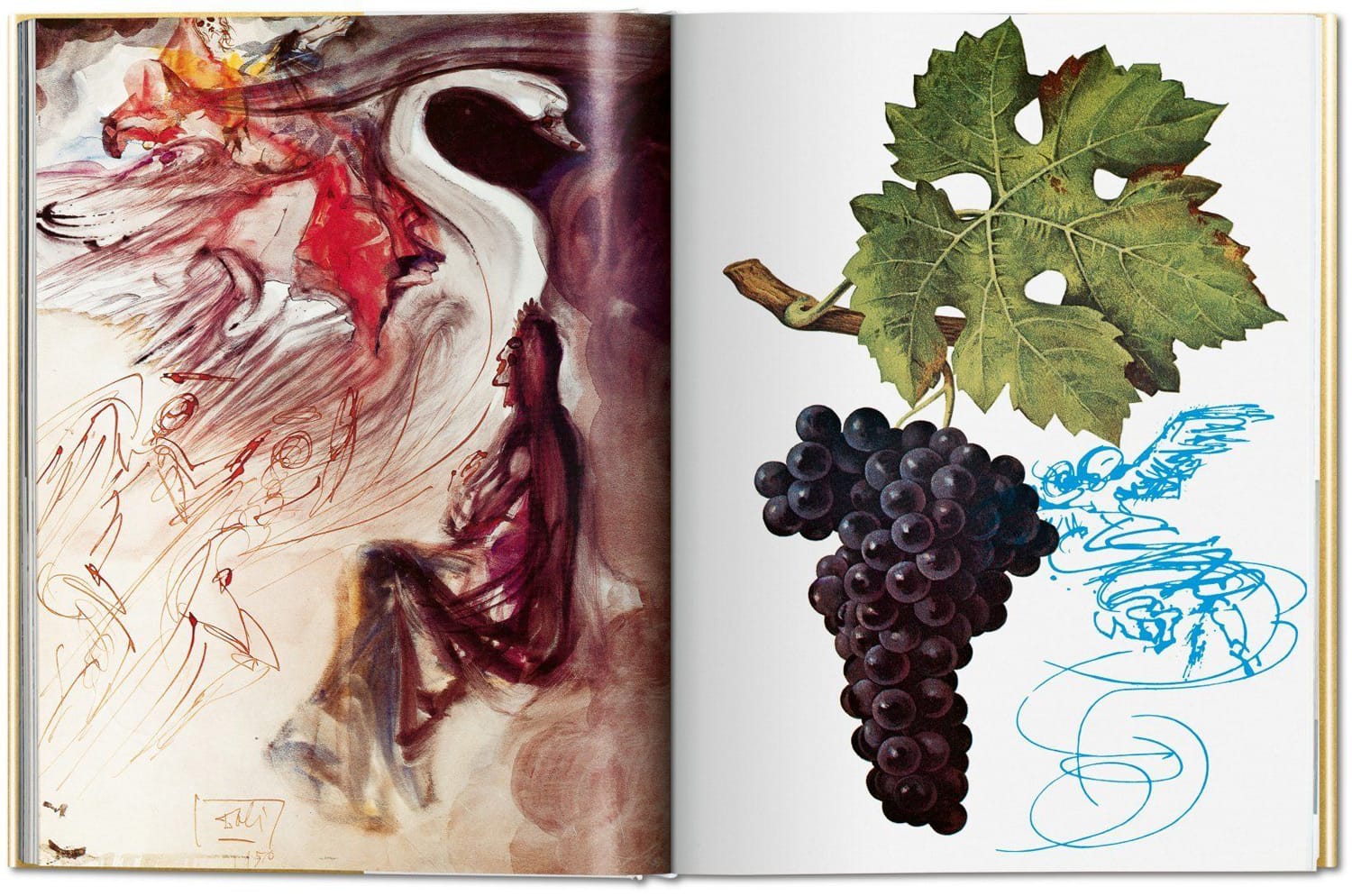 wino otwiera drzwi wyobraźni. Salvador Dalí, praca 8.