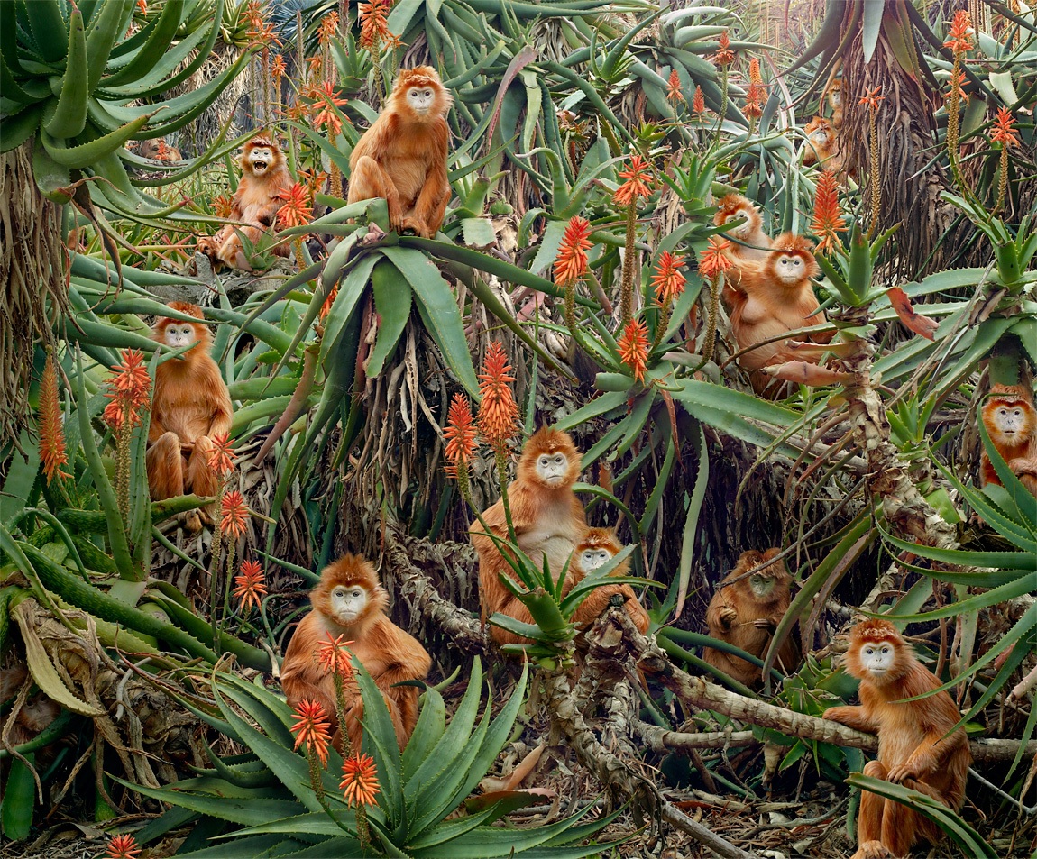 zwierzęta czekają na koniec bajki. Simen Johan, praca 8.