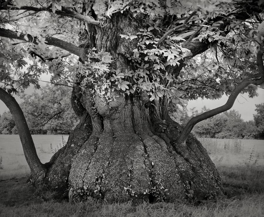 tyle lat w jednym miejscu. Beth Moon, praca 4.