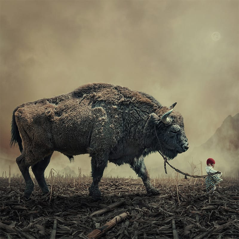 fotografia skręciła w stronę snu. Caras Ionut, praca 5.