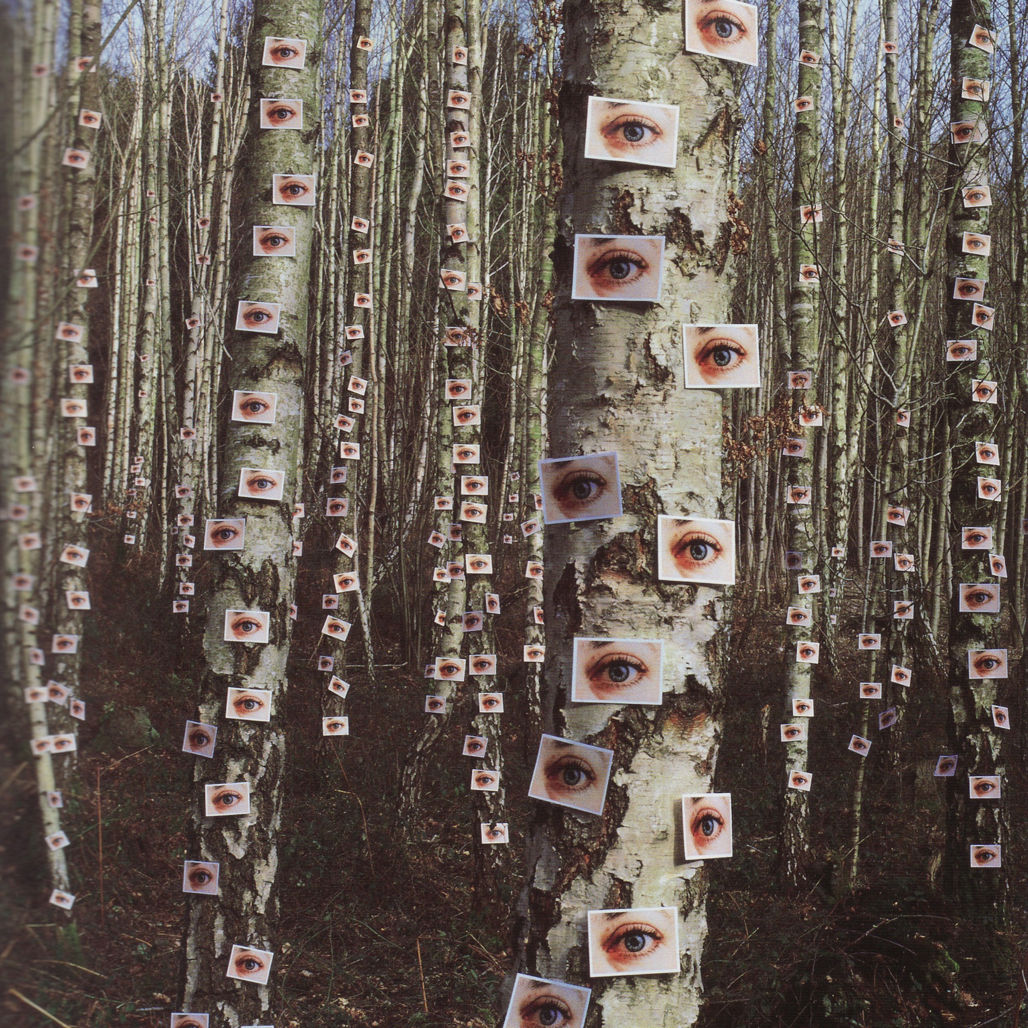 płyta zaczyna się od obrazu. Storm Thorgerson, praca 7.