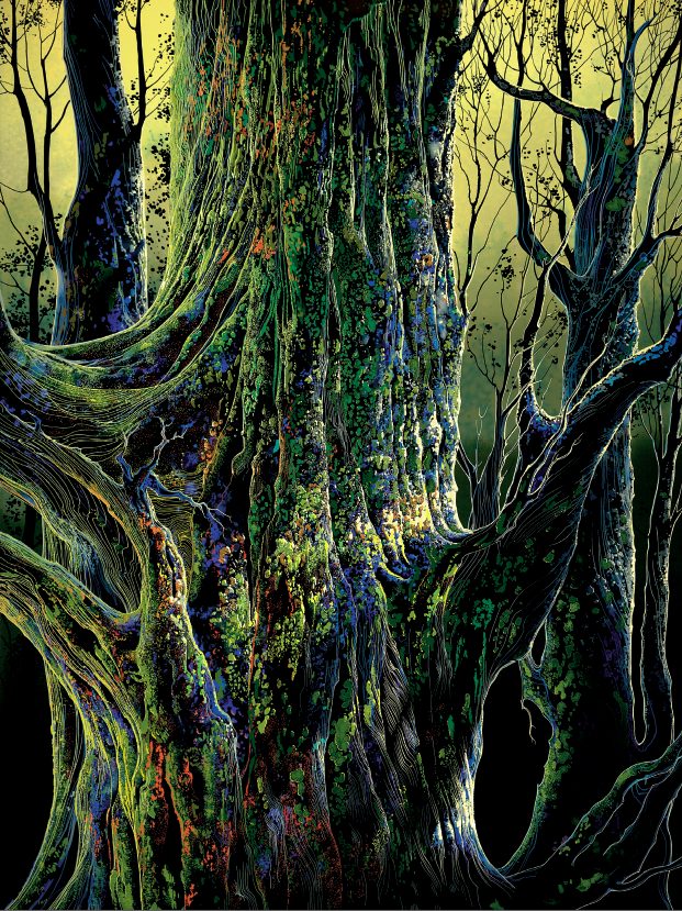 dolina pamięta inny porządek. Eyvind Earle, praca 1.