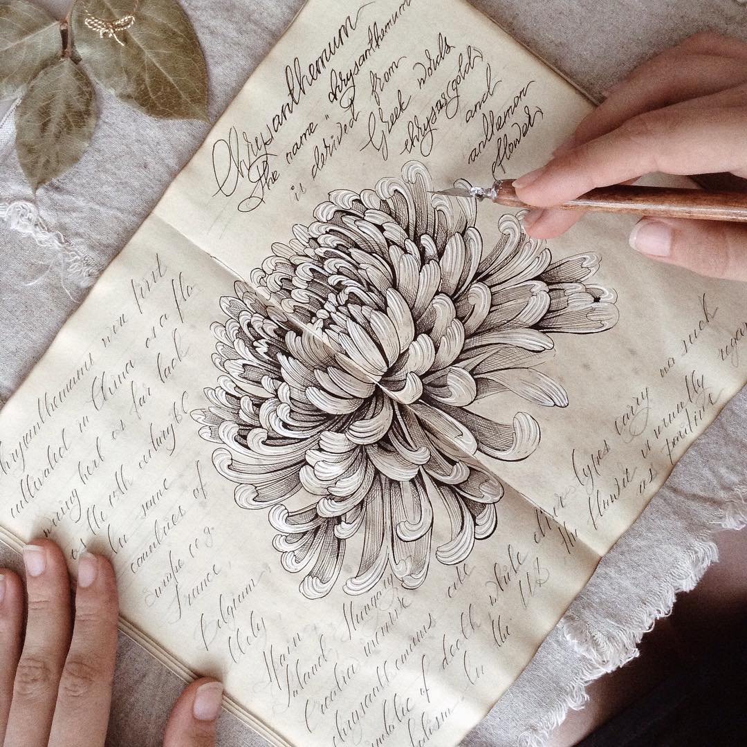 pióro pamięta stare ornamenty. Elena Limkina, praca 9.