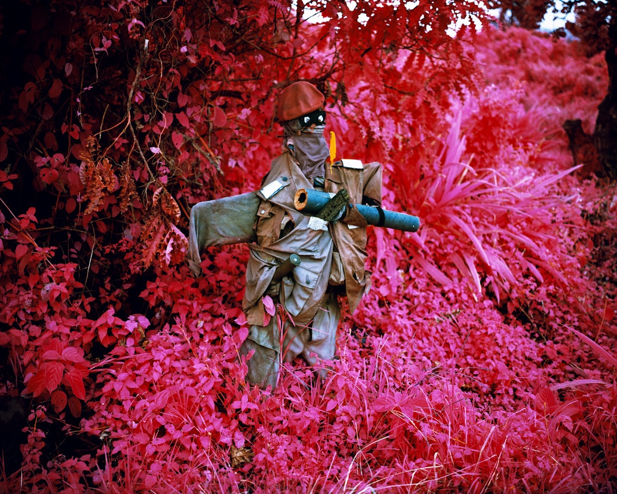 różowy kolor nie uspokaja. Richard Mosse, praca 9.