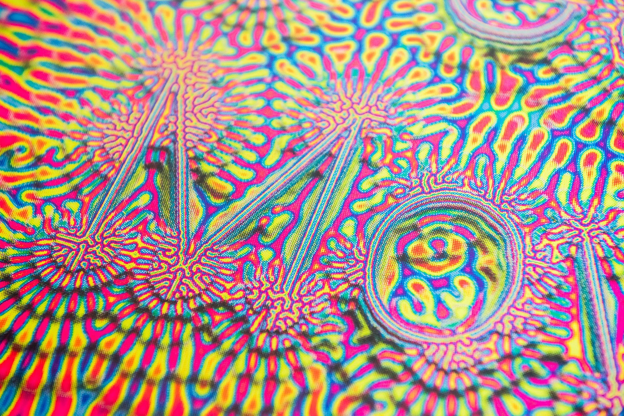 wzór robi sobie kolejny wzór. Michiel Schuurman, praca 4.