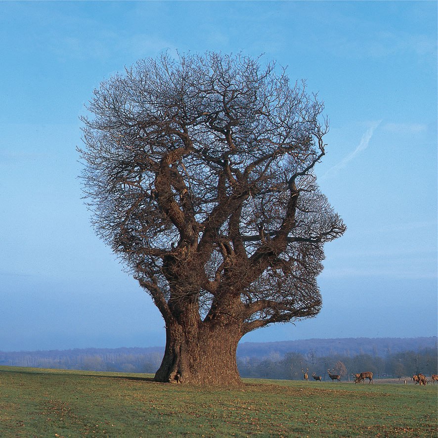 płyta zaczyna się od obrazu. Storm Thorgerson, praca 1.