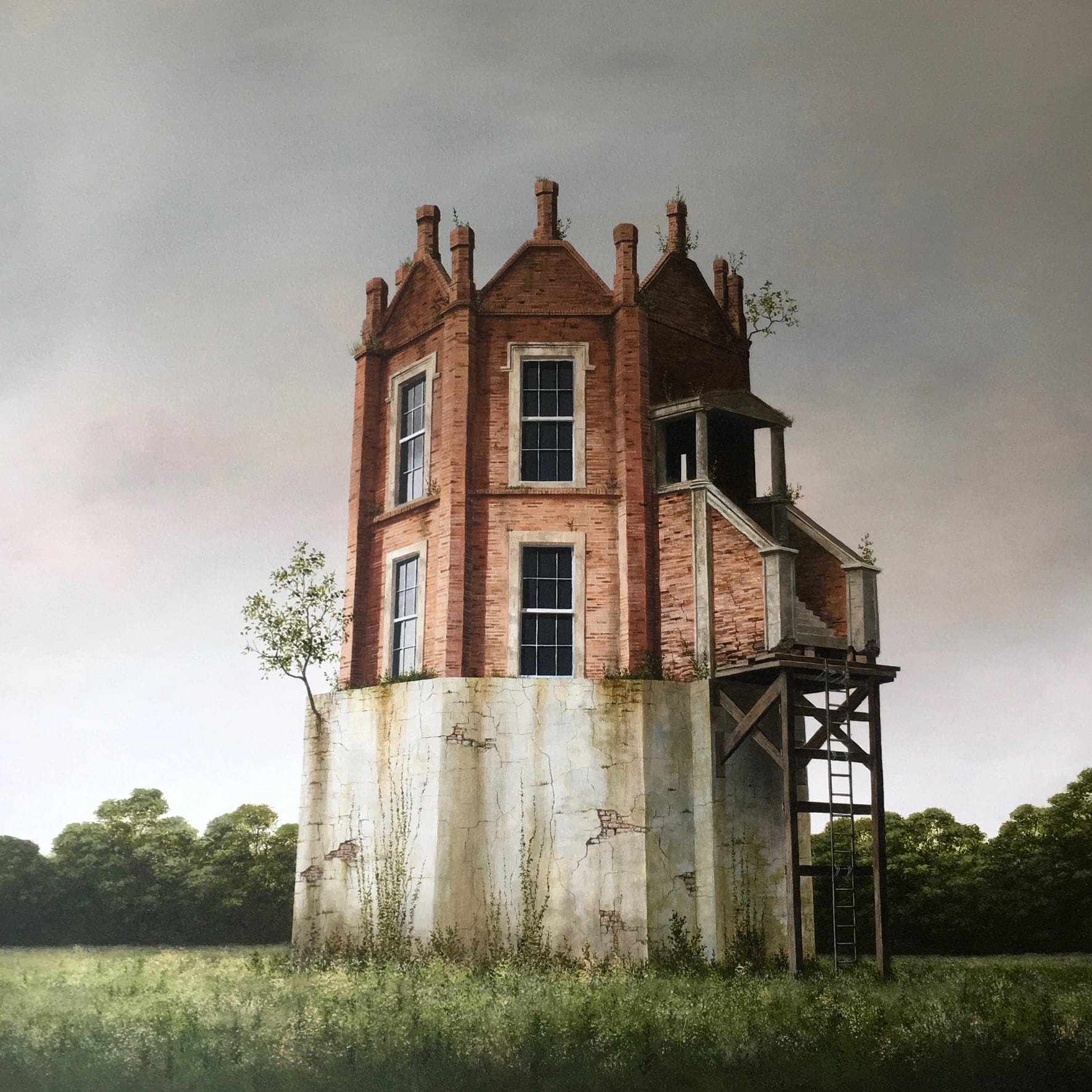 kto mieszkał tu przed roślinami. Lee Madgwick, praca 4.