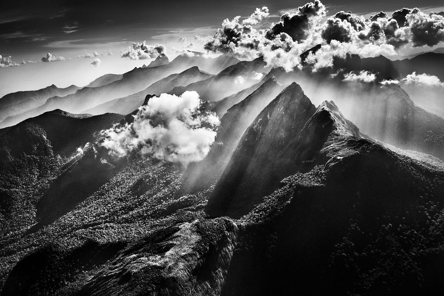 rzeka wciąż pamięta las. Sebastião Salgado, praca 1.