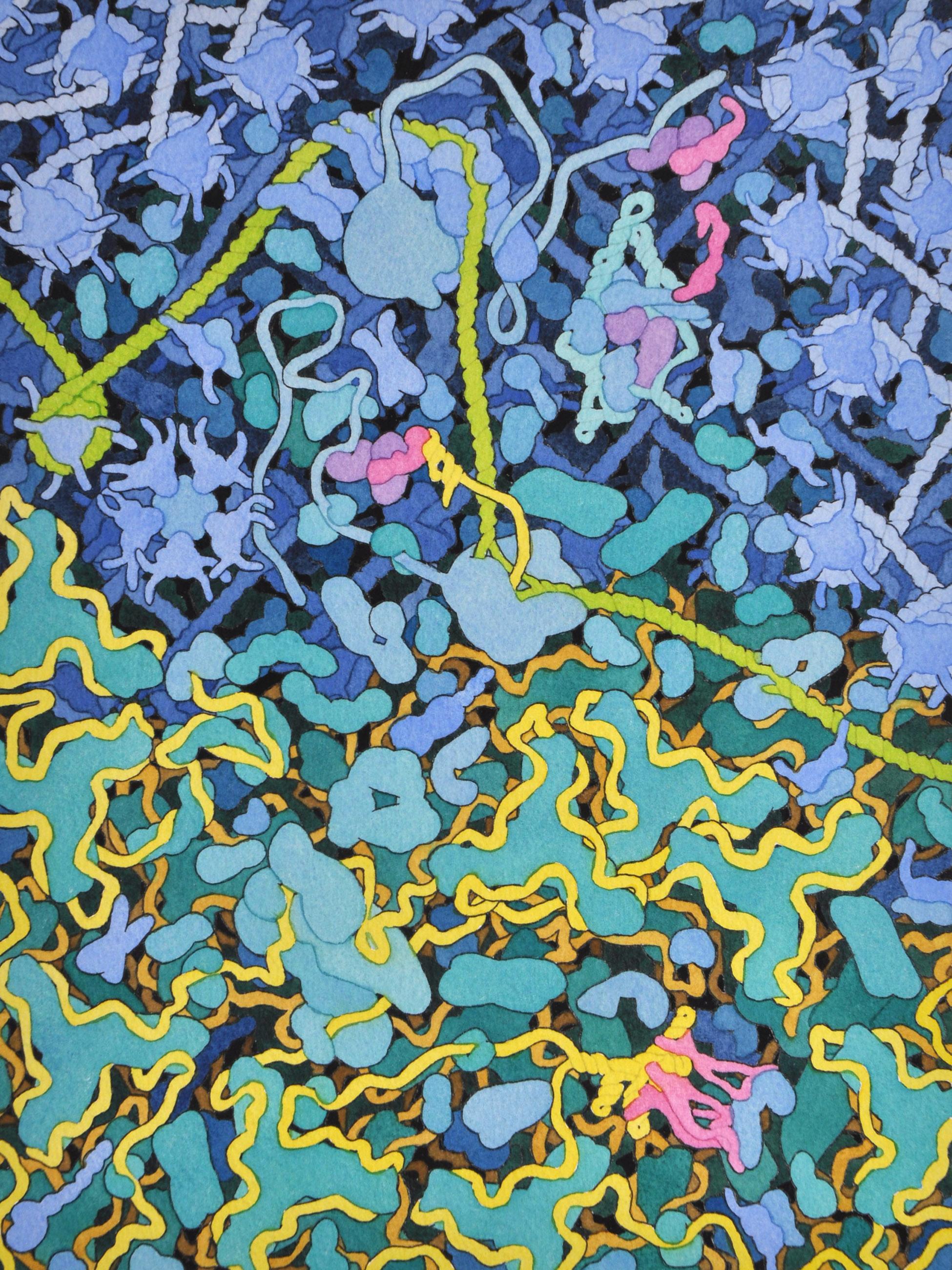 w każdej chwili dzieje się we mnie tyle. David S. Goodsell, praca 5.