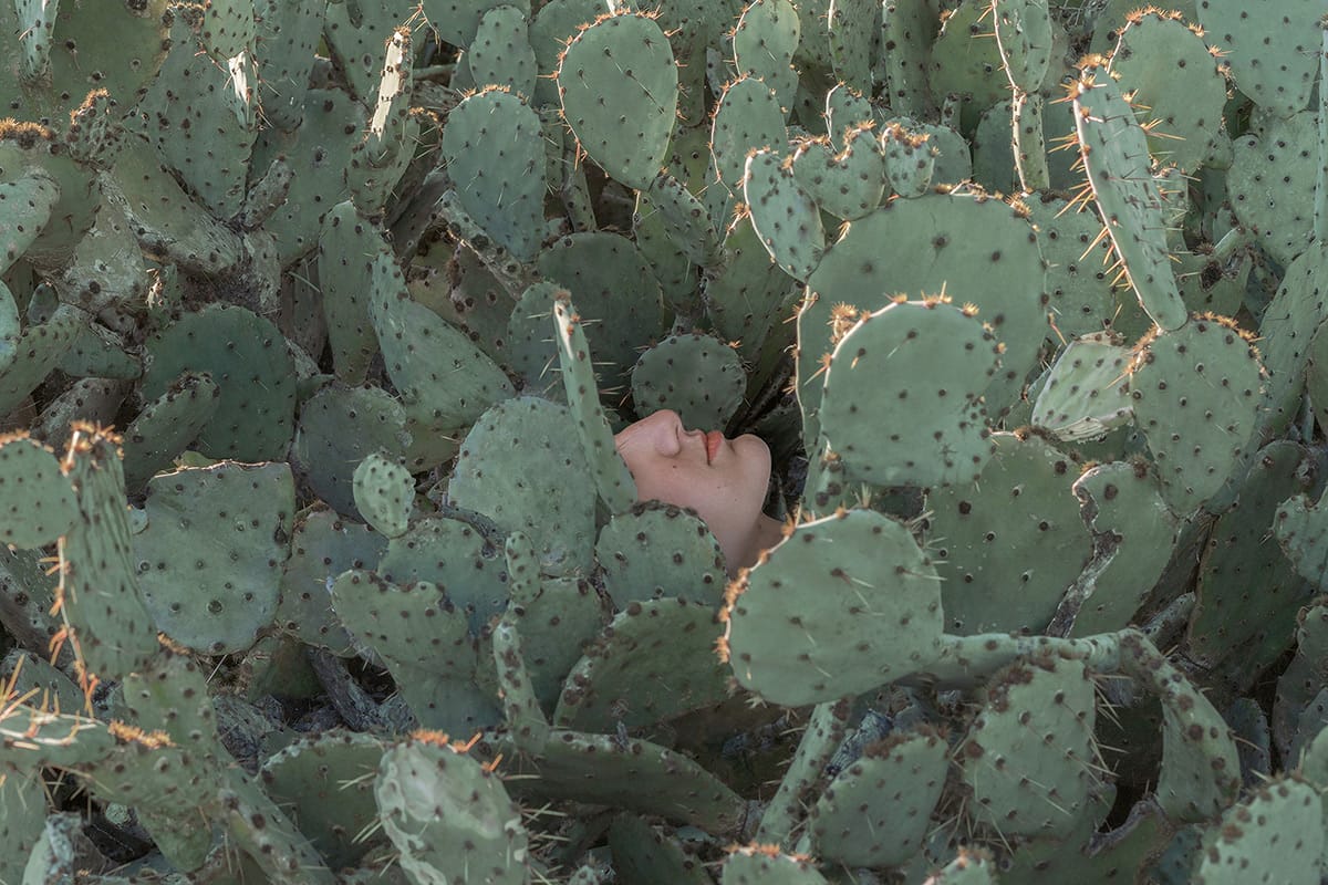zwyczajny pokój, niedorzeczna sytuacja. Brooke DiDonato, praca 3.